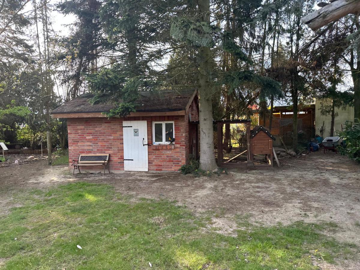 Apartamento Linas Wohlfühloase Hessisch Oldendorf Exterior foto
